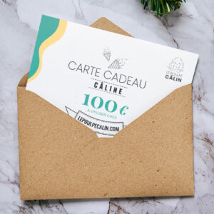 Carte cadeau plaisir intime sextoys couple