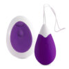 Oeuf vibrant télécomandé INTENSE JAN violet