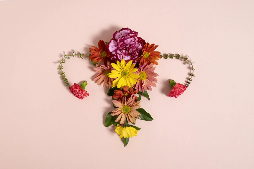 boules de geisha menopause