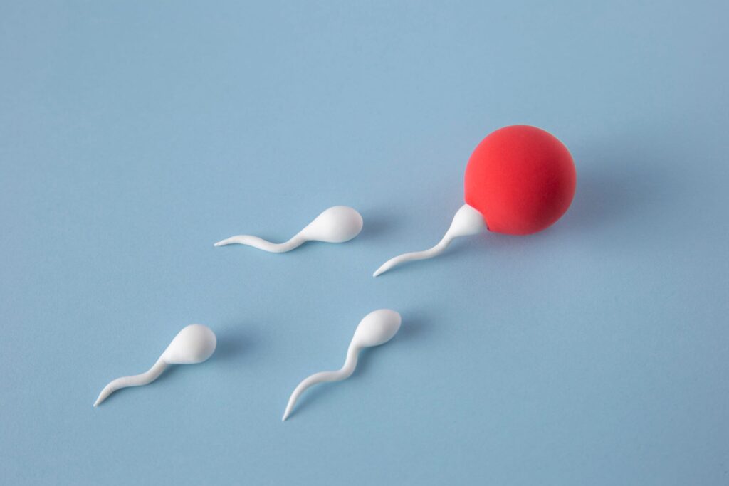 combien de temps sperm reste dans femme