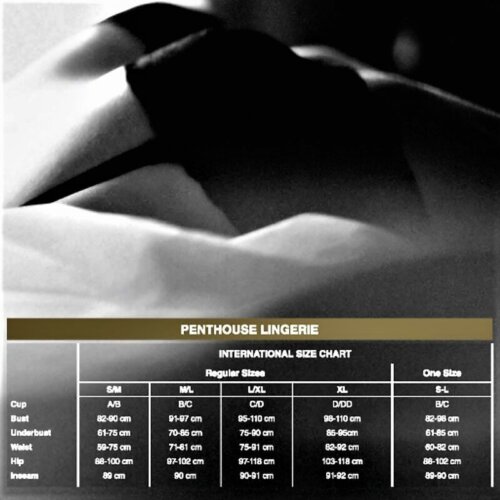 Robe sexy noire Penthouse
