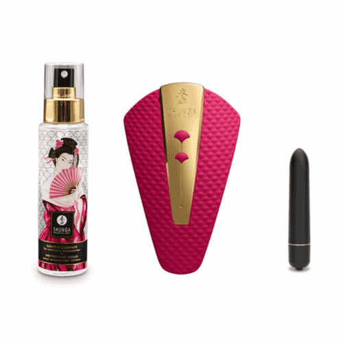Calendrier de l'avent 25ème anniversaire SHUNGA zoom